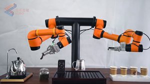 Çift Kollu Çay Servisi Yapan Robot